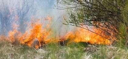 Stato di grave pericolosità per gli incendi boschivi