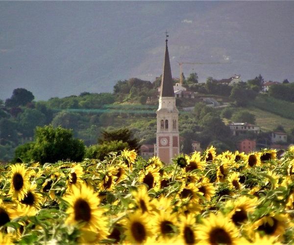 Il nuovo sito istituzionale del Comune di Breganze